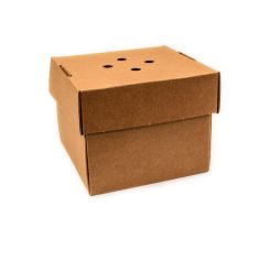 Gourmet Burger Box KRAFT