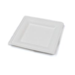 Compostable Square Bagasse Plate 20x20cm White