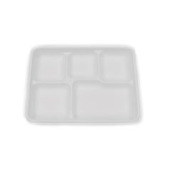 Compostable 5 compartment Bagasse Plate White