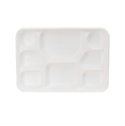 Compostable 8 compartment Bagasse Plate White