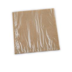 210x210mm Film Fronted Bags Kraft